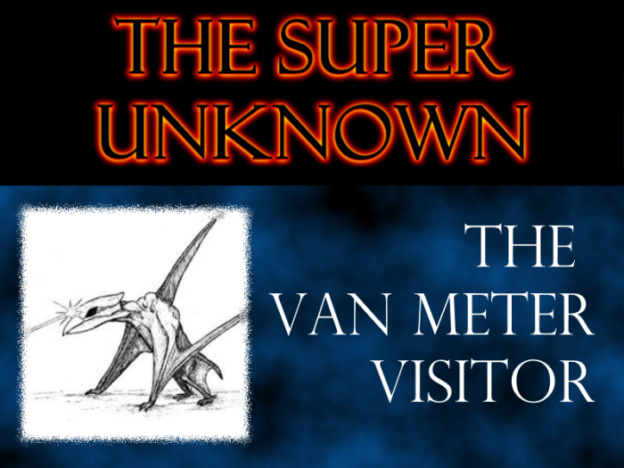 The Super Unknown 1